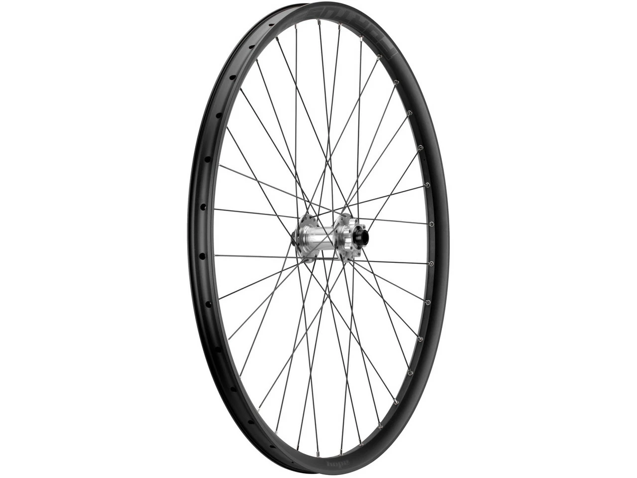HOPE Pro 4 + Fortus 30 Disc 6-Loch 29" Boost Laufradsatz – Bild 2
