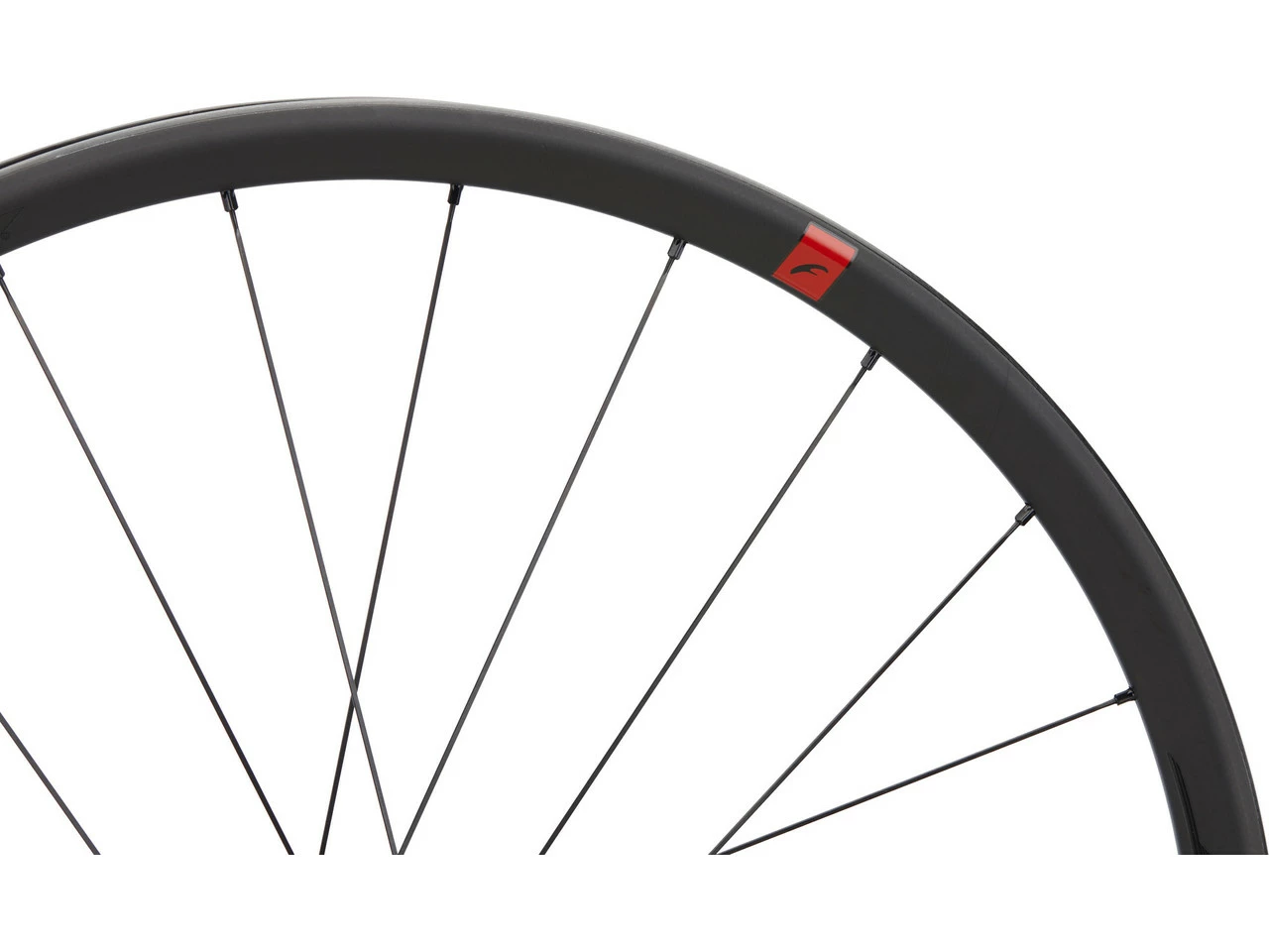 Fulcrum Speed 25 DB Disc Center Lock Carbon 28" Laufradsatz – Bild 6