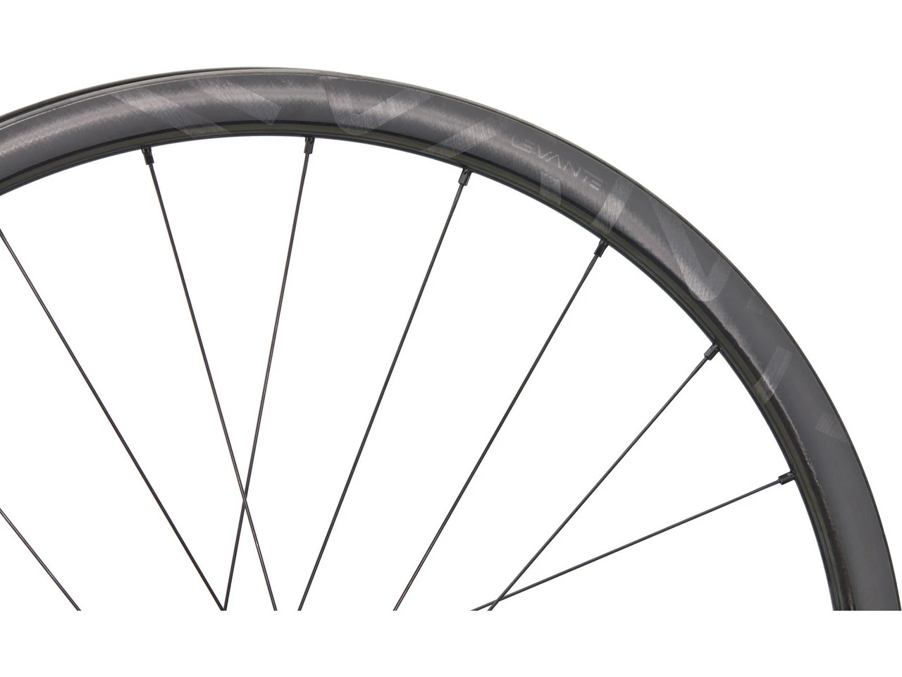 Campagnolo® Levante Carbon Disc Center Lock 28" Laufradsatz – Bild 7